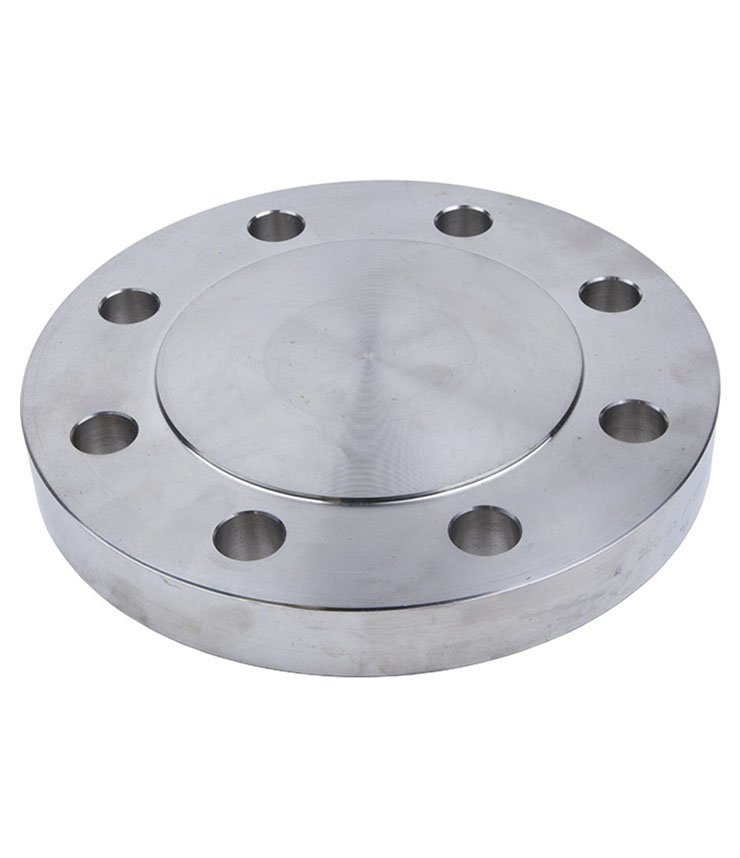 BLRF Flange Manufacturer in India