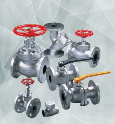 Valves & Regulators Manufacturer India